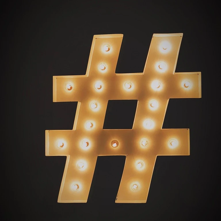Understanding the Dynamics of Growth Equity in Social Media Influence