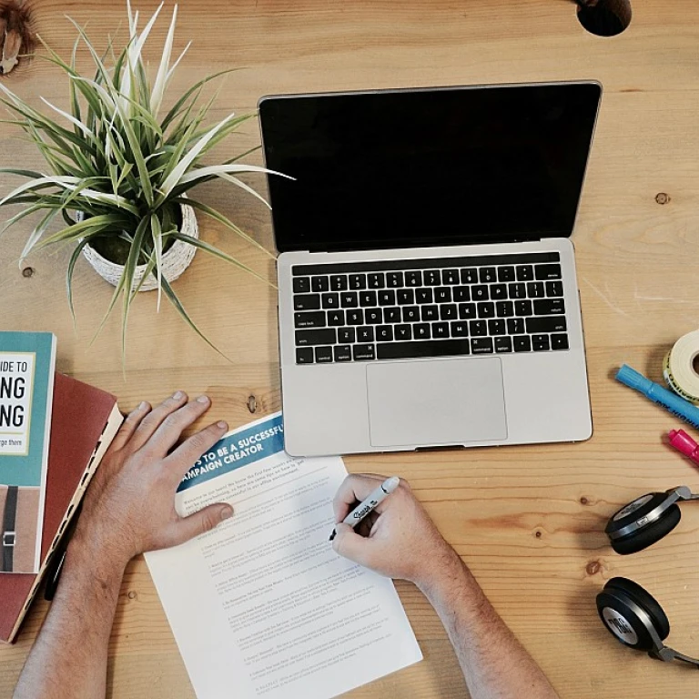 Navigating the Landscape of Cultivation Funding in Venture Capital