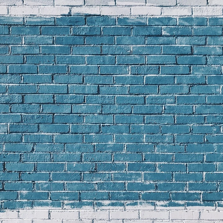 Understanding the Role of Growth Capital in Social Media Influence